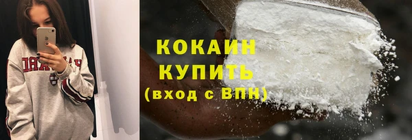 сатива Козловка