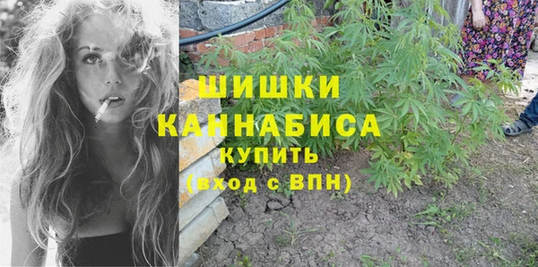 mdpv Волоколамск